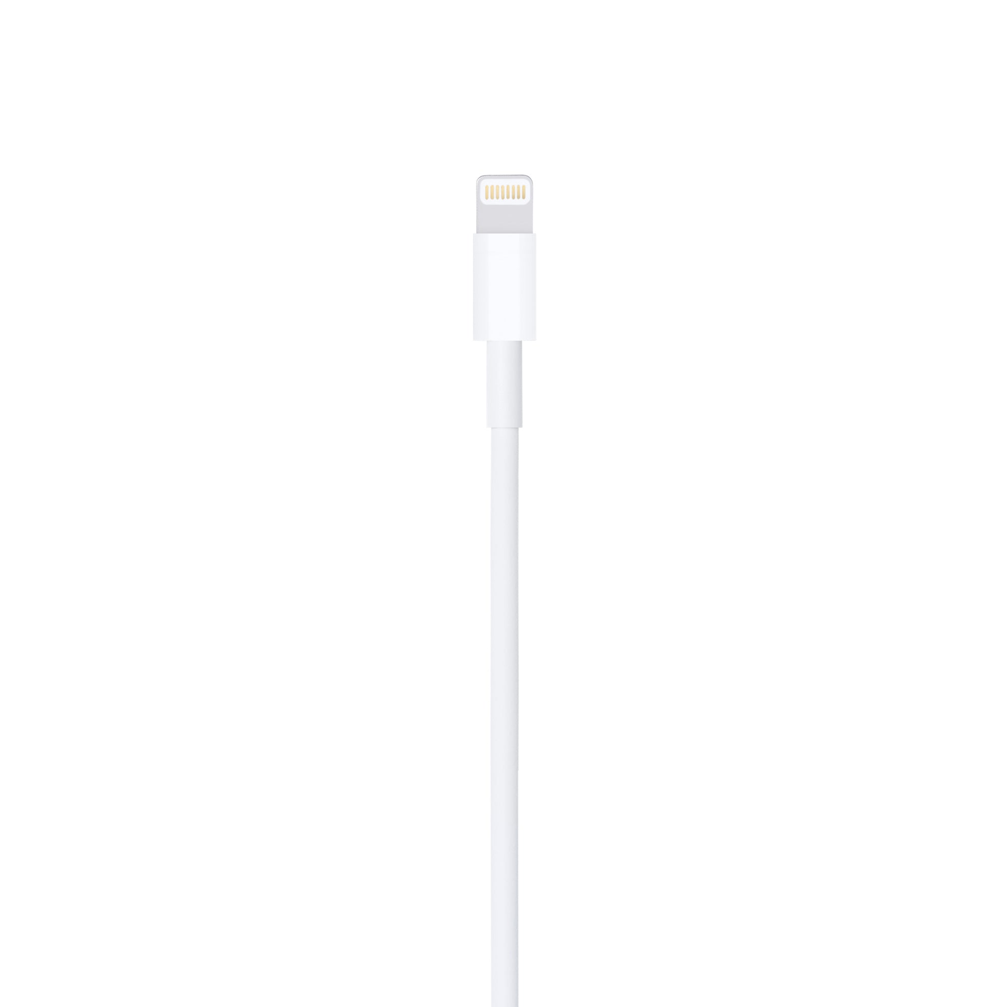 APPLE LIGHTNING-USB A CABLE 2M MD819ZM/A