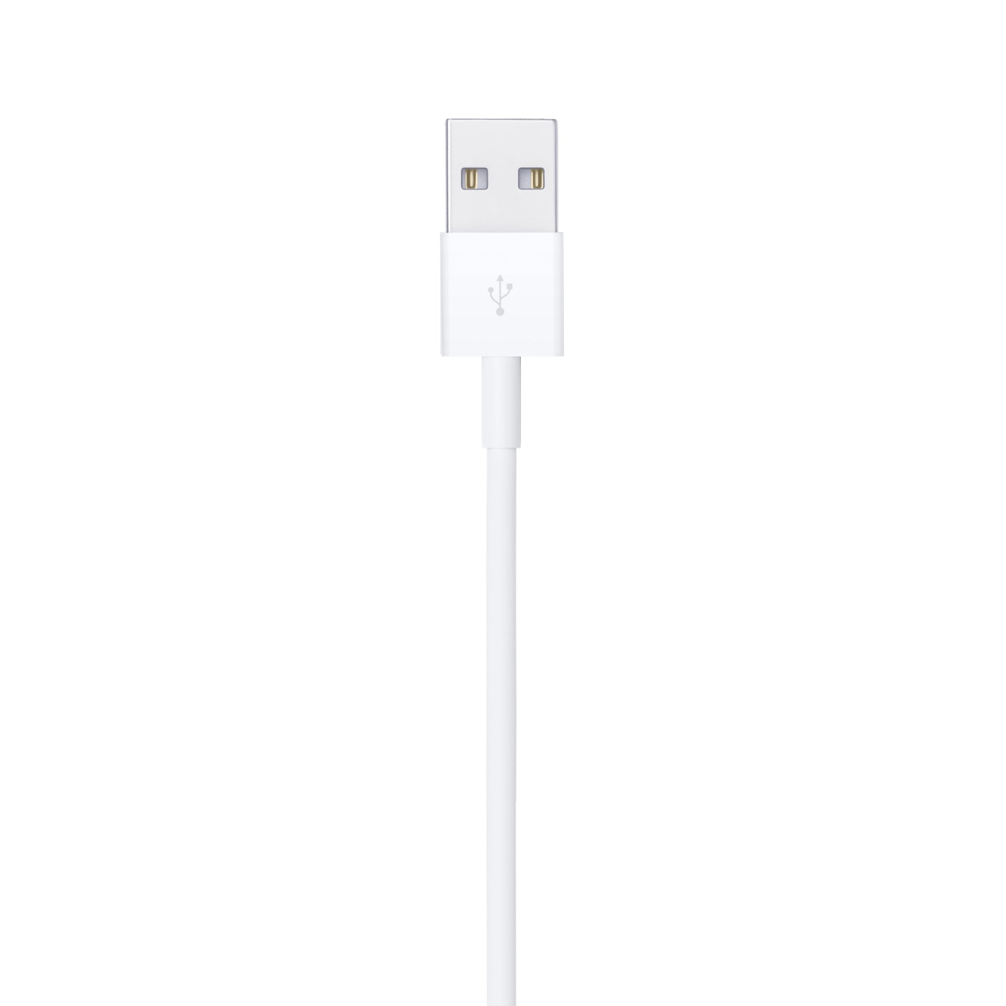 APPLE LIGHTNING-USB A CABLE 2M MD819ZM/A