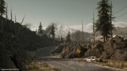 DAYS GONE PS4 CD