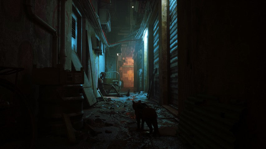 STRAY PS4 CD
