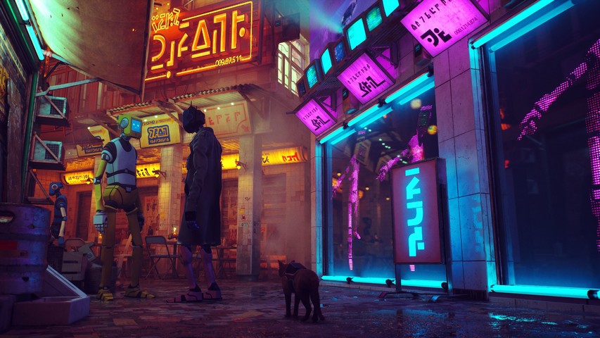 STRAY PS4 CD