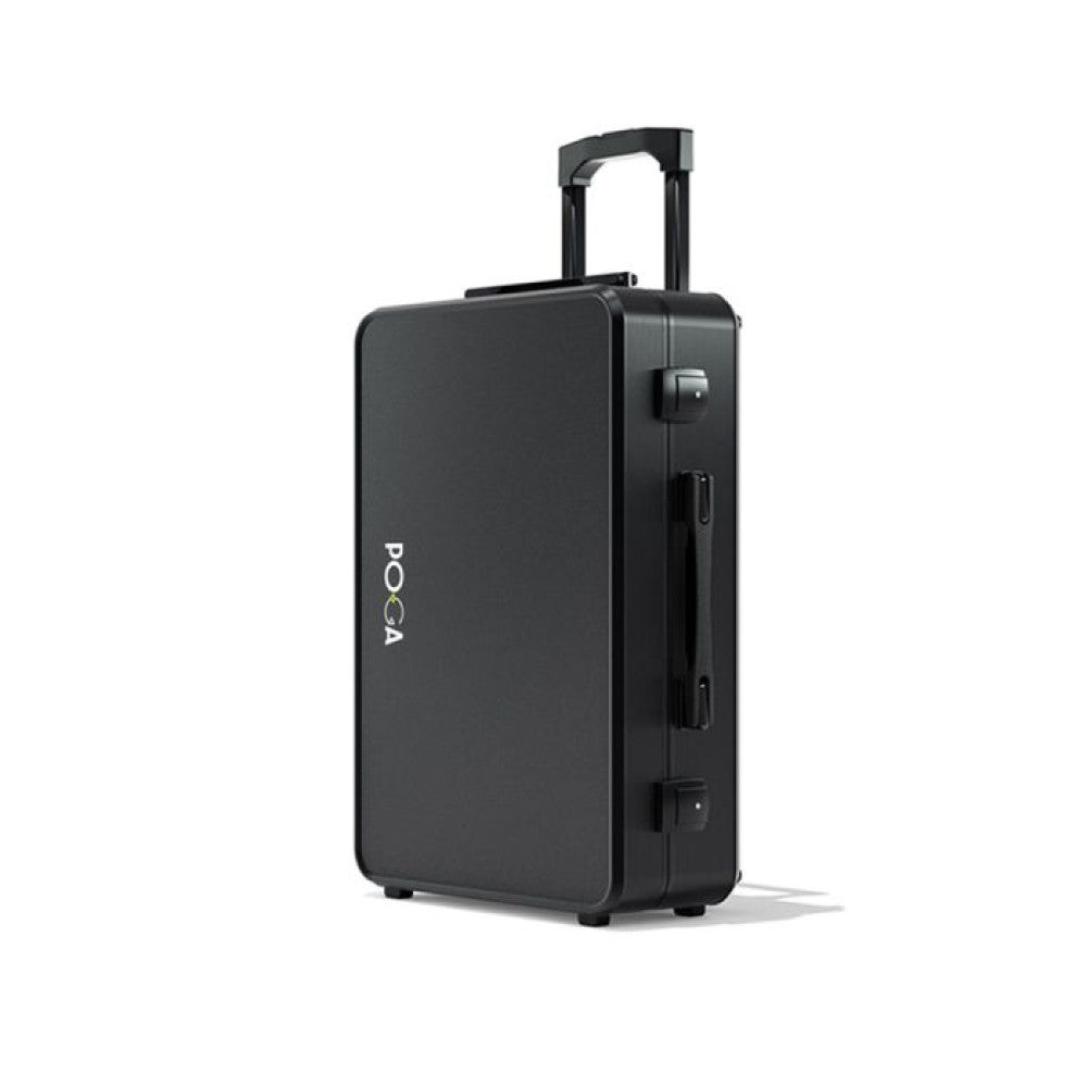 POGA LUX 24-INCH GAMING  MONITOR