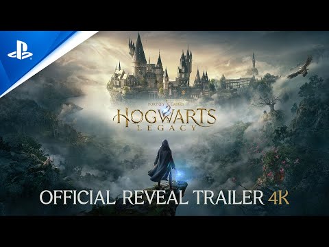 HOGWARTS LEGACY PS4 CD