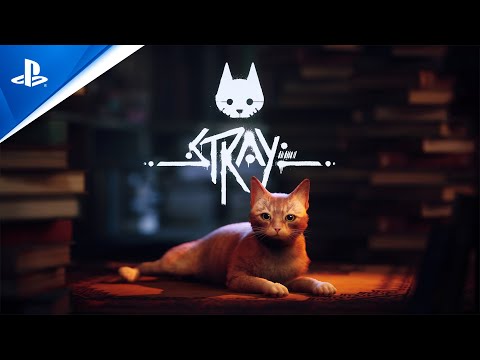 STRAY PS4 CD